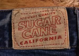 SUGAR CANE【Tailor Toyo】